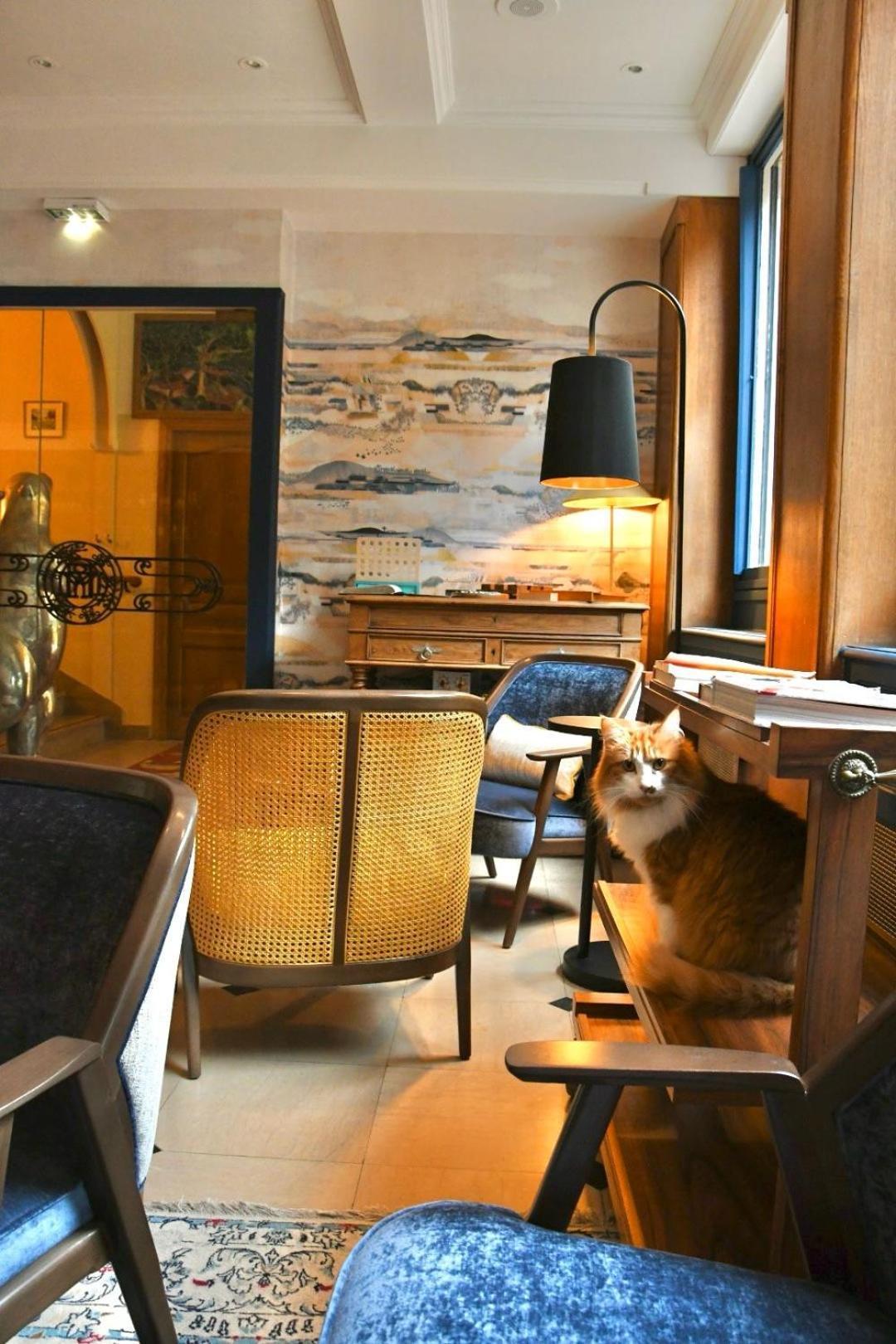 阿瓦隆 Le Moulin Des Ruats酒店 外观 照片